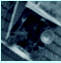 flori roof