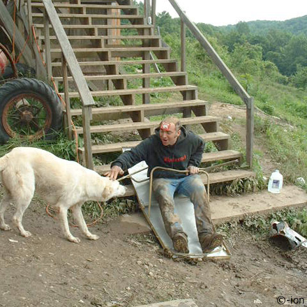 danger dog